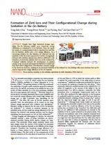 Formation of Zintl Ions and Their Configurational Change during Sodiation in Na--Sn Battery