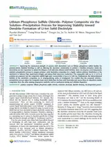 Lithium Phosphorus Sulfide Chloride--Polymer Composite via the Solution--Precipitation Process for Improving Stability toward Dendrite Formation of Li-Ion Solid Electrolyte